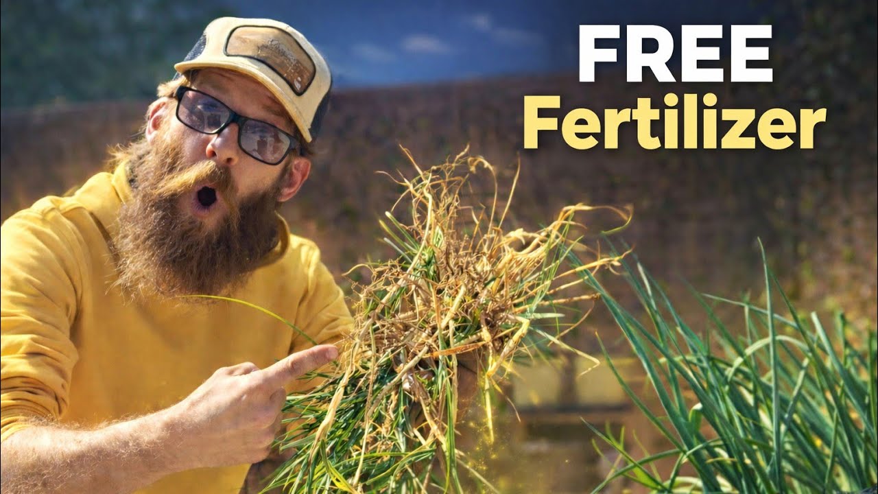 STOP Throwing Away Weeds (Do This Instead)