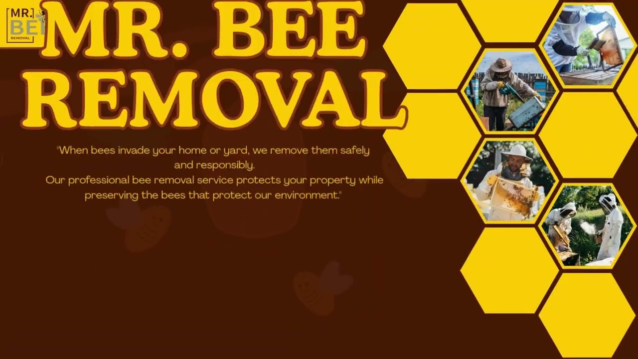 Safe & Professional Bee Removal Services fir homes and commercial