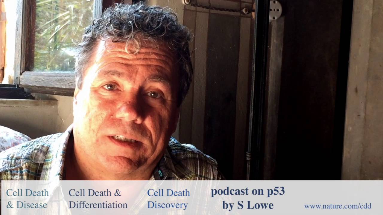 Scott Lowe: a personal view on p53
