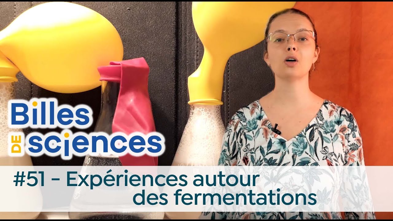 Billes de sciences #51 : Tania Louis - Expériences sur les fermentations