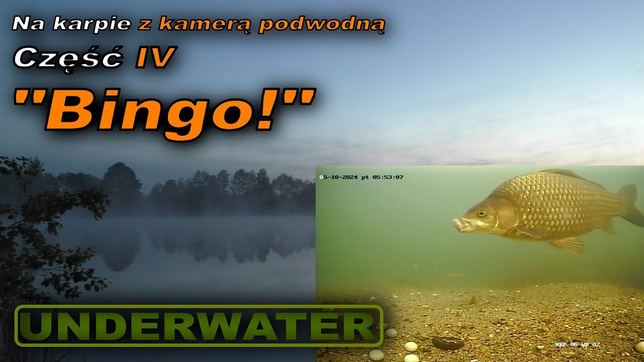 Na karpie z kamerą podwodną. Część IV: 