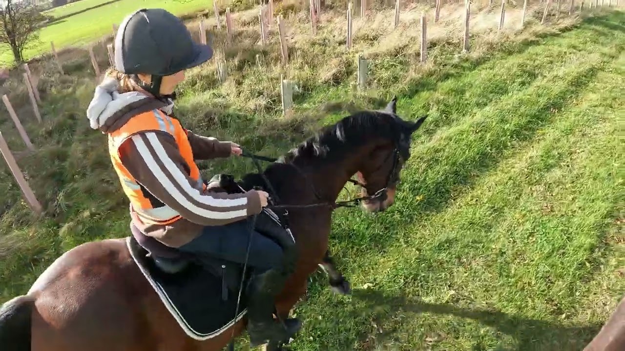 Saturday 1st November 2025 Hacking 