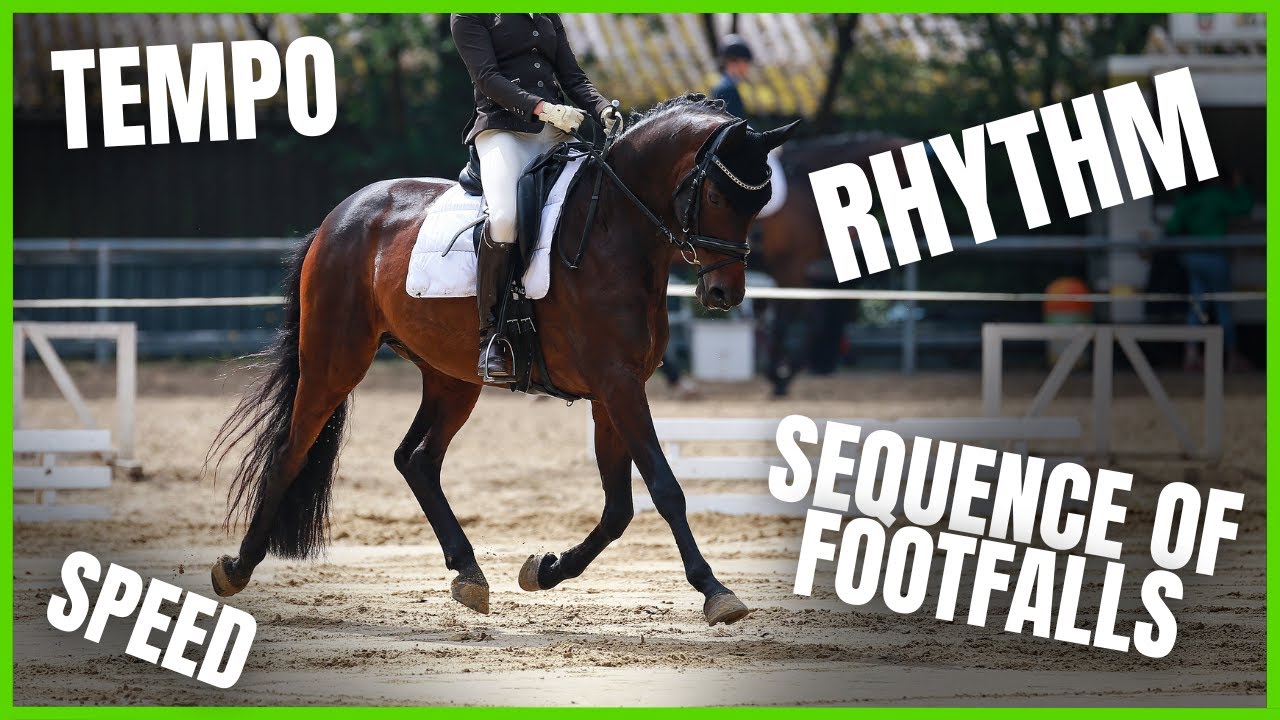 Does Your Horse Have a GOOD RHYTHM? From The Complete Online Dressage Course | How To Dressage