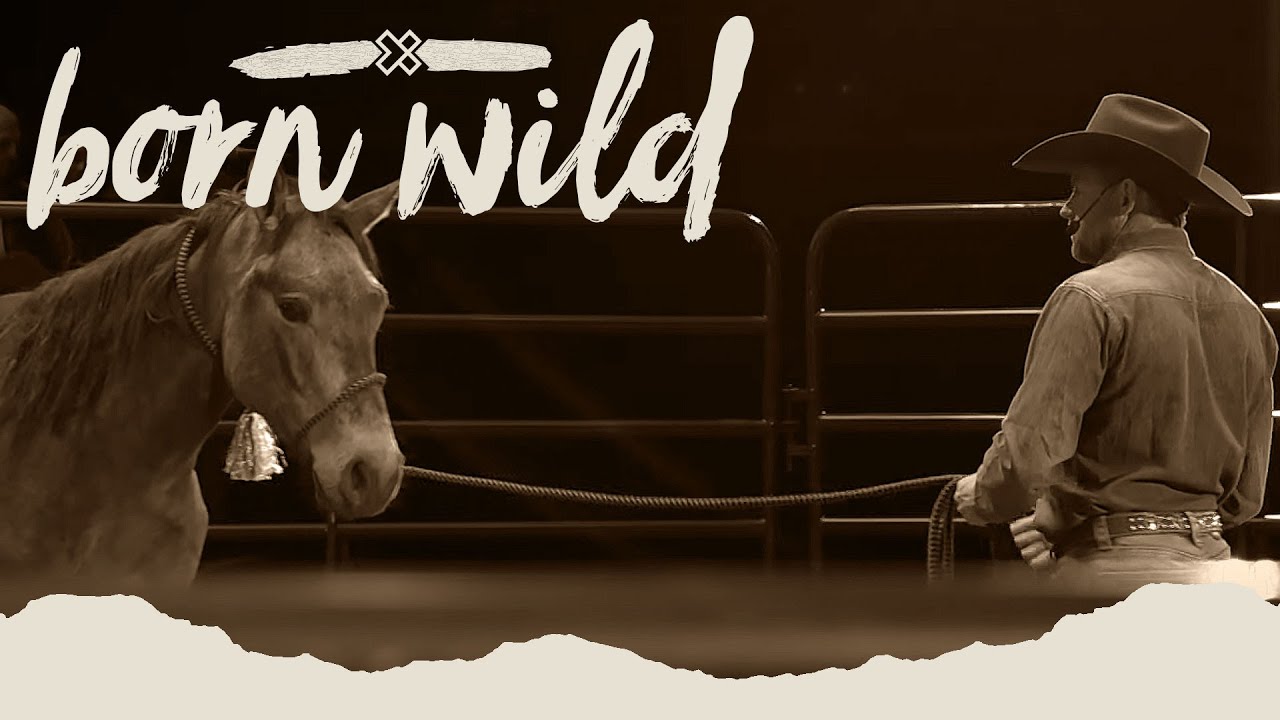 Training A Wild Horse In An Hour | Born Wild 3pm (LIVE)