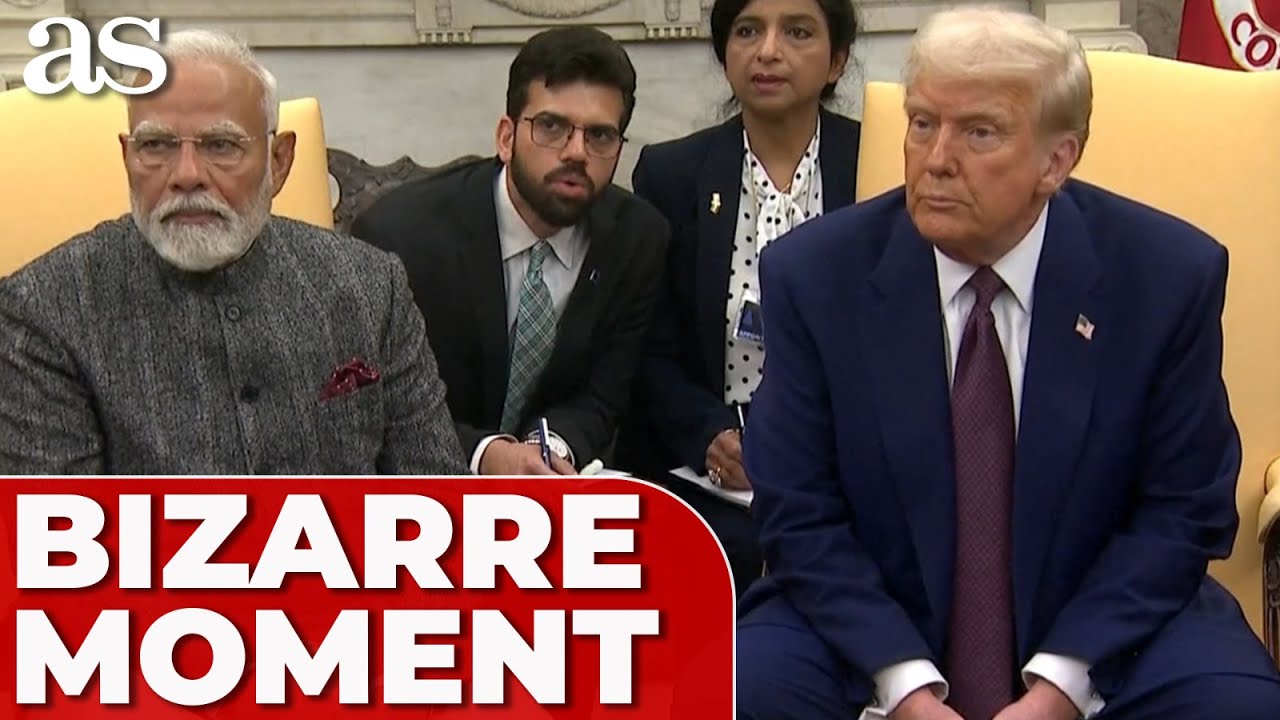 Translator BAFFLES by 'translating' reporter’s ENGLISH into ENGLISH for TRUMP