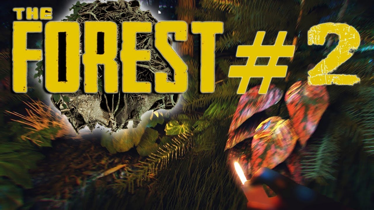 The Forest #2