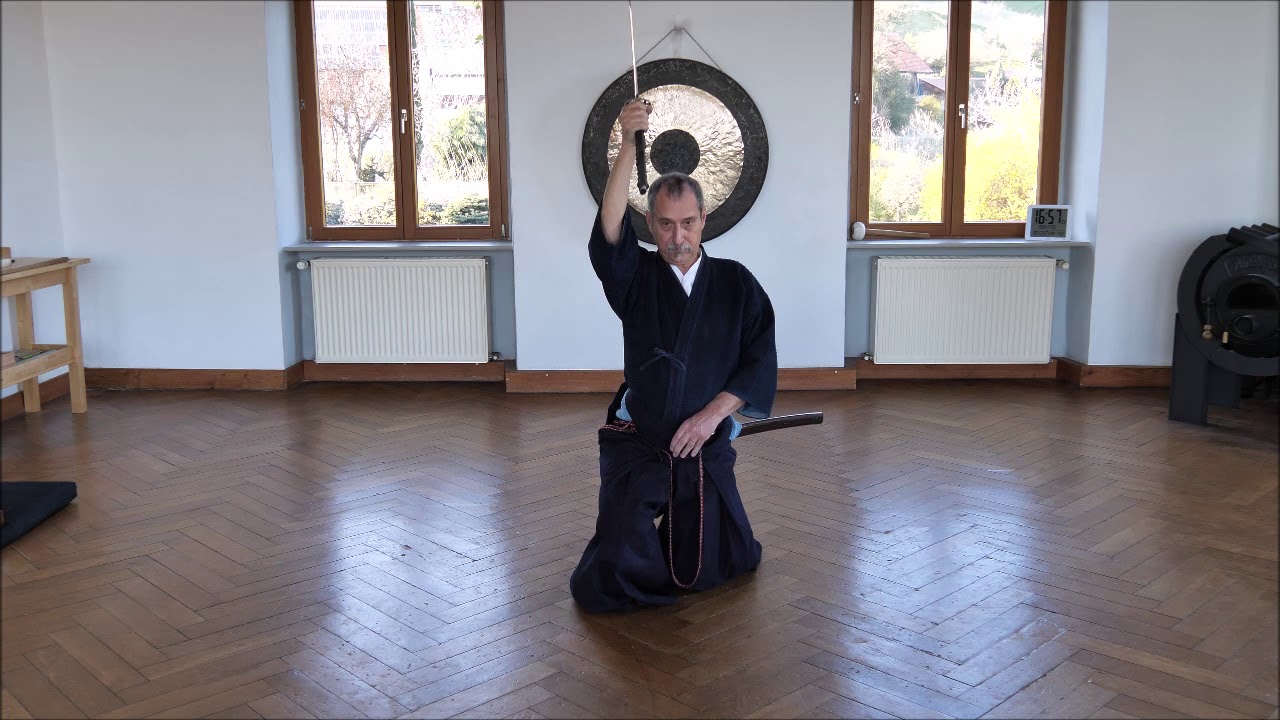 Seitei Iaido Kata Mae erklärt