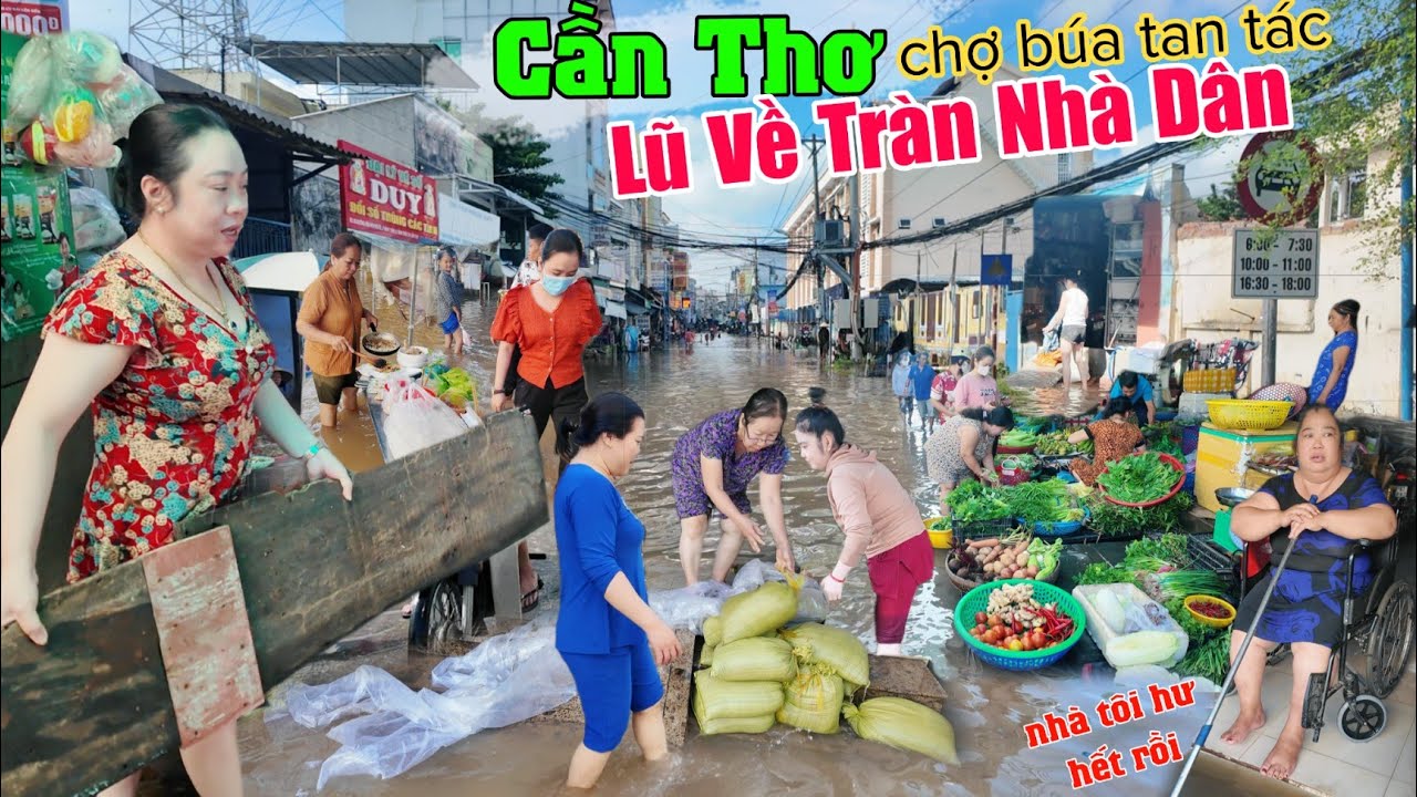 Lũ tr&agrave;n nh&agrave; d&acirc;n Cần Thơ chợ b&uacute;a tan t&aacute;c ế ẩm quanh năm ch&igrave;m trong biển nước