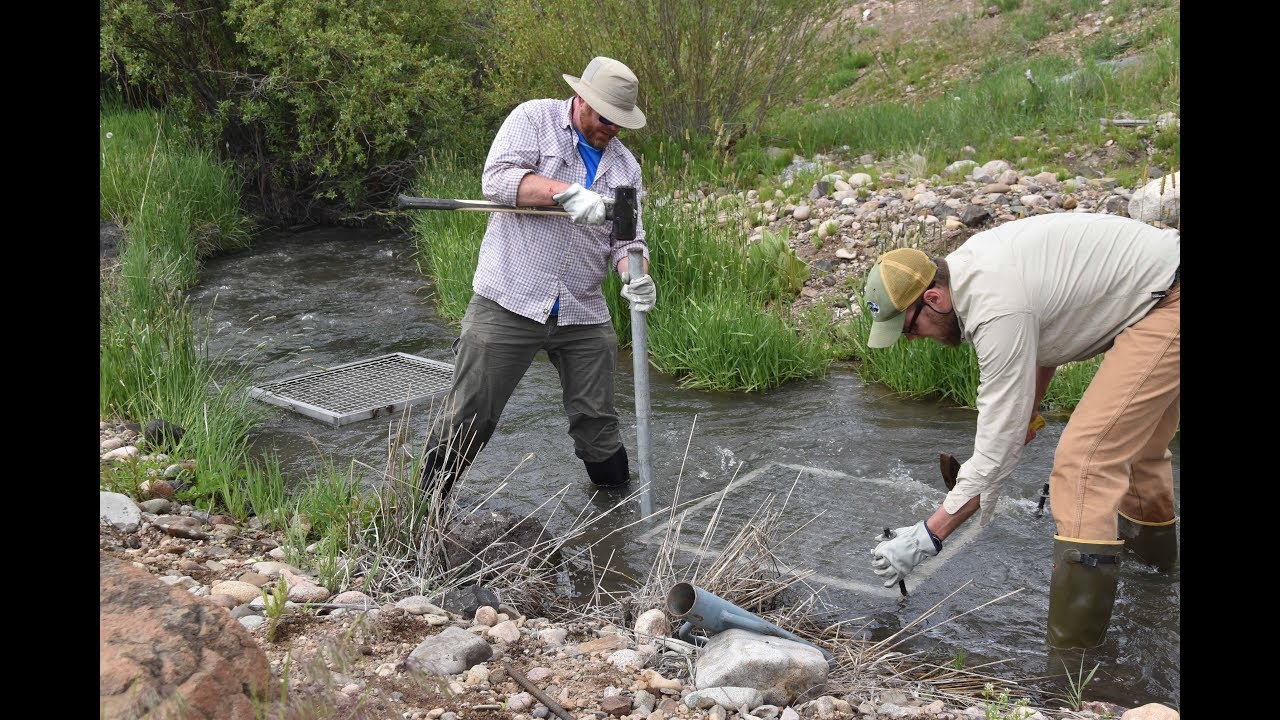 Northern Water's Biochar Pilot Project