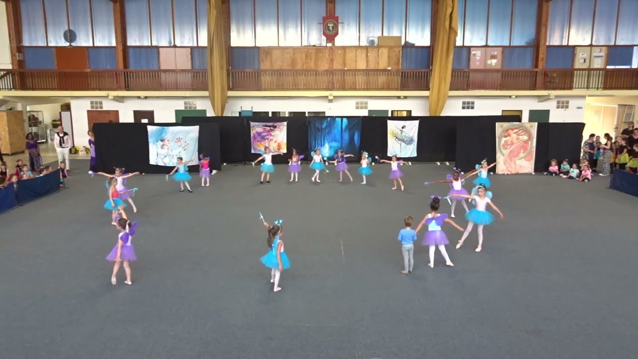 Gala 2022-2023 de 'Milldanses, les abeilles' : DANSE CLASSIQUE (1)