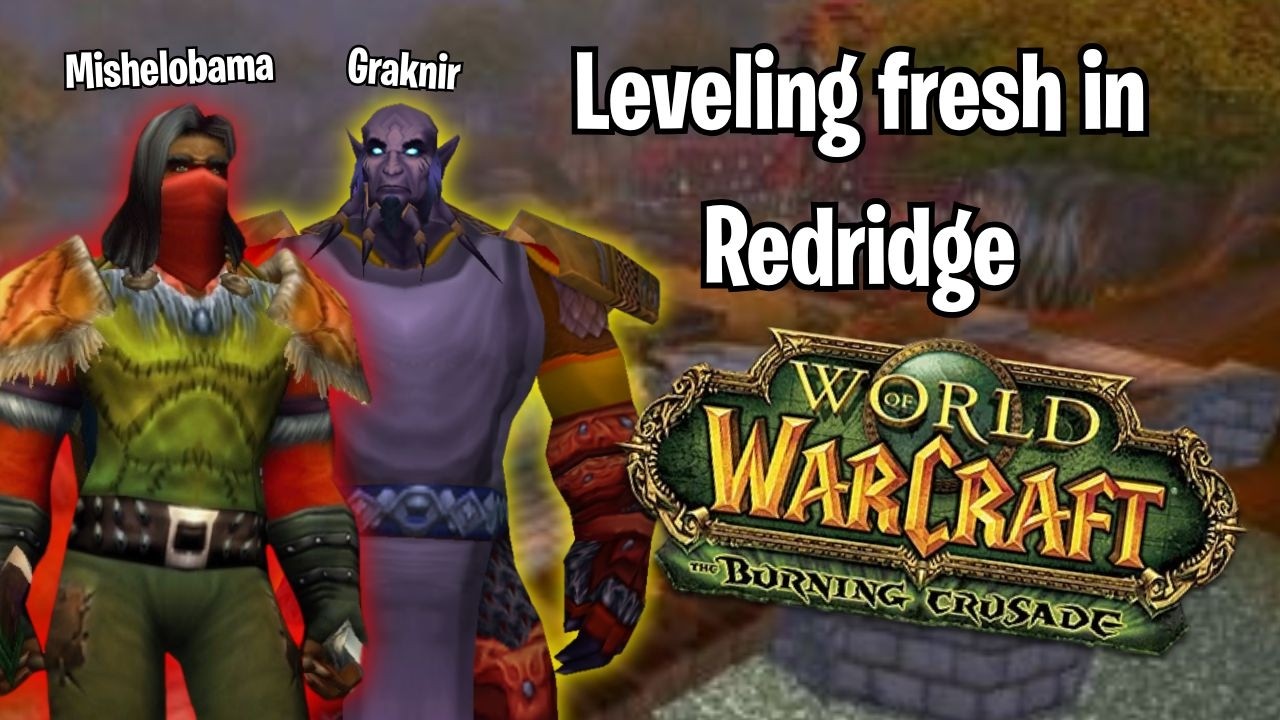 World of Warcraft TBC LIVE leveling fresh paladin and rougue!
