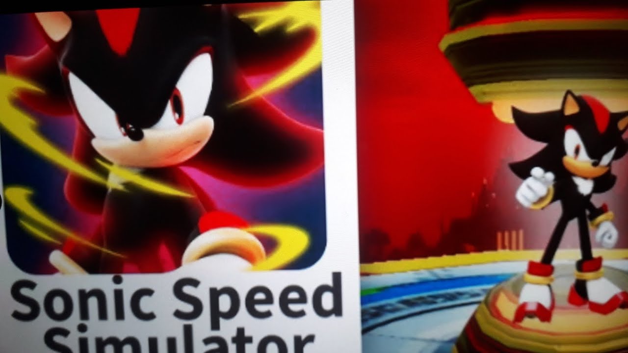 Personagens escondidos em sonic speed simulador 