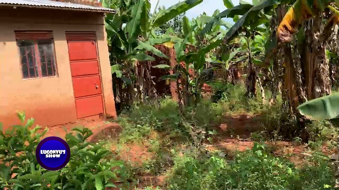 SUITABLE LAND FOR COUNTRY HOME AND FARMING IN BOMBO 35 KILOMETERS FROM KAMPALA
