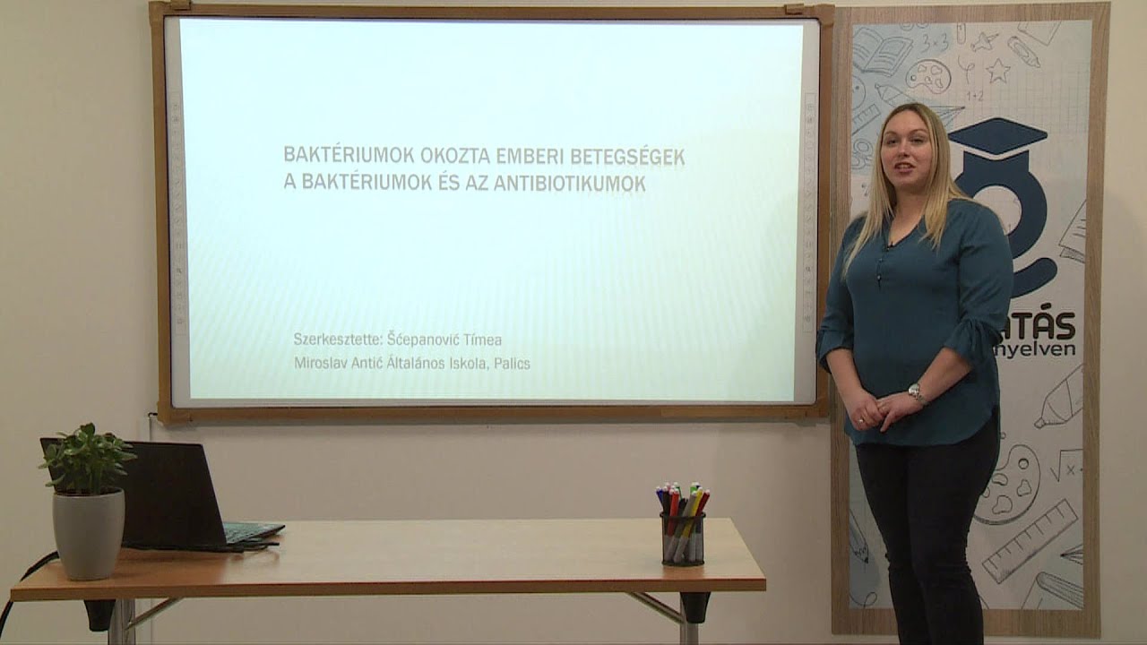Baktériumok okozta emberi betegségek. A baktériumok és az antibiotikumok