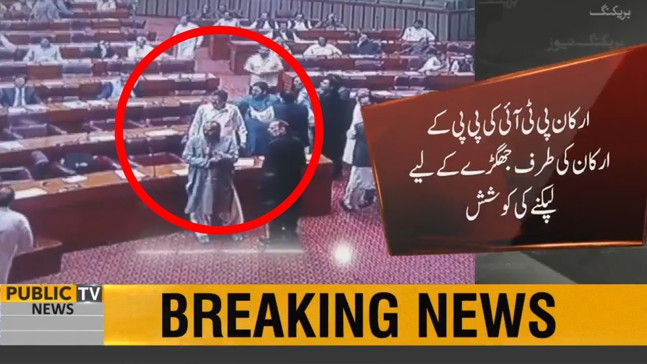 Fight Between PTI & PPP Leaders in National Assembly