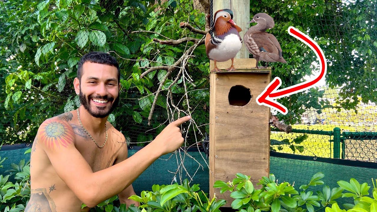 I FOUND NEW LIFE IN MY ONE OF A KIND AVIARY!