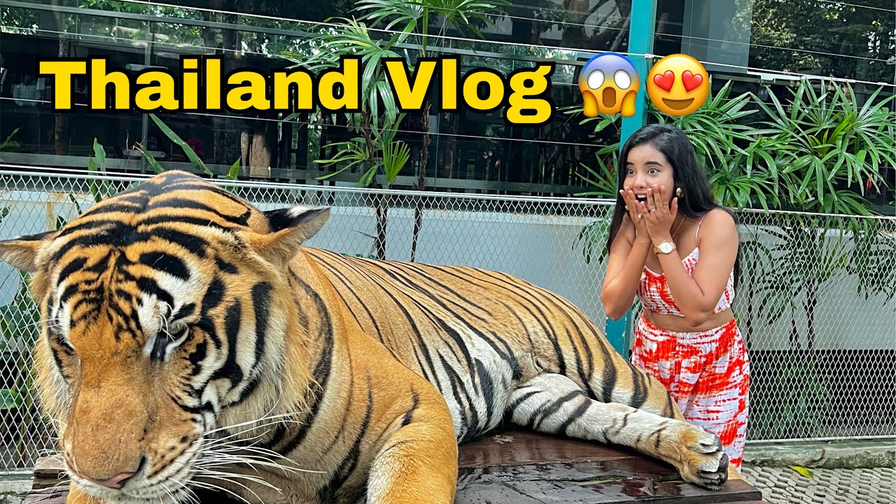 Thailand Vlog Part 2 | Payal Panchal Vlogs