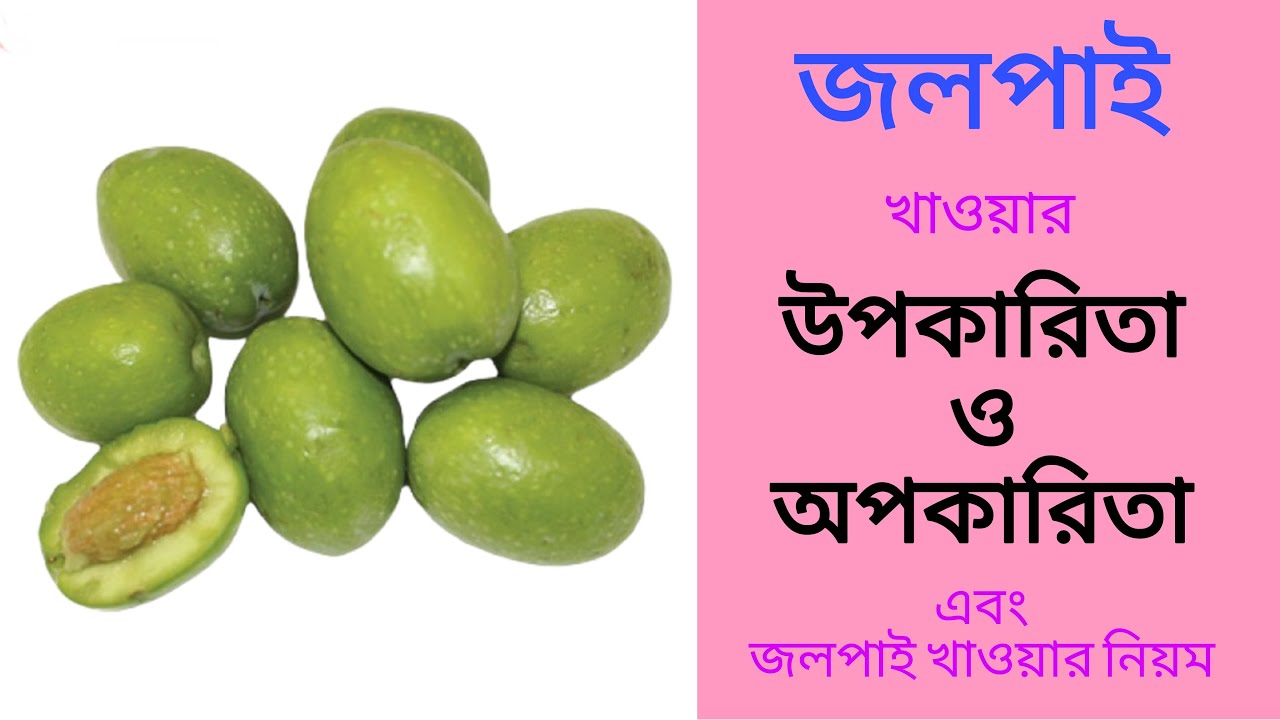 জলপাই খাওয়ার উপকারিতা ও অপকারিতা এবং জলপাই খাওয়ার নিয়ম। Olive.
