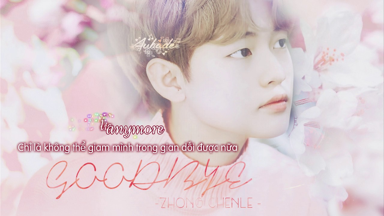 Vietsub + Kara | Goodbye - Chenle (钟辰乐)