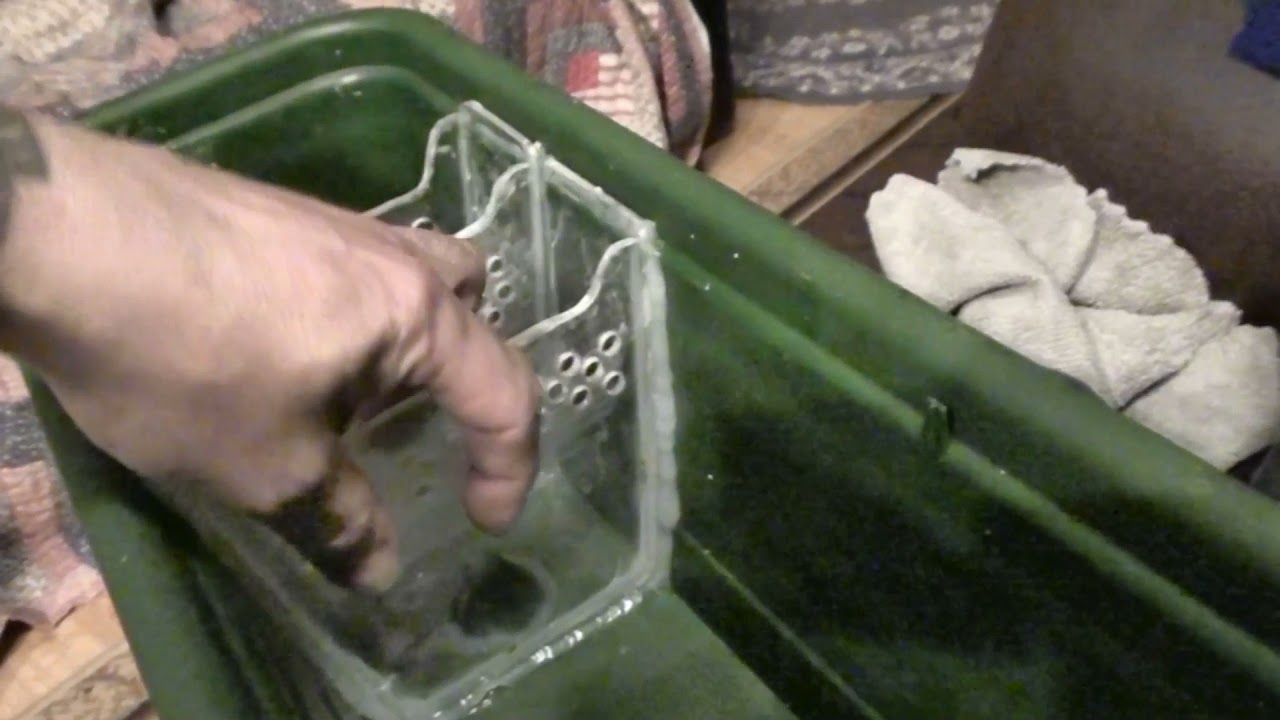 hydroponika  akwarium low tech zrob sam