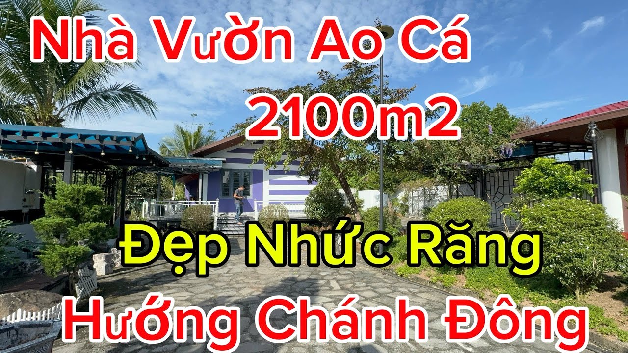Khu  Nghỉ Dưỡng Đang Cần Bán - Đẹp Mê Bao Tâm Huyết Giờ Đành Bán xoay Sở Công Việc