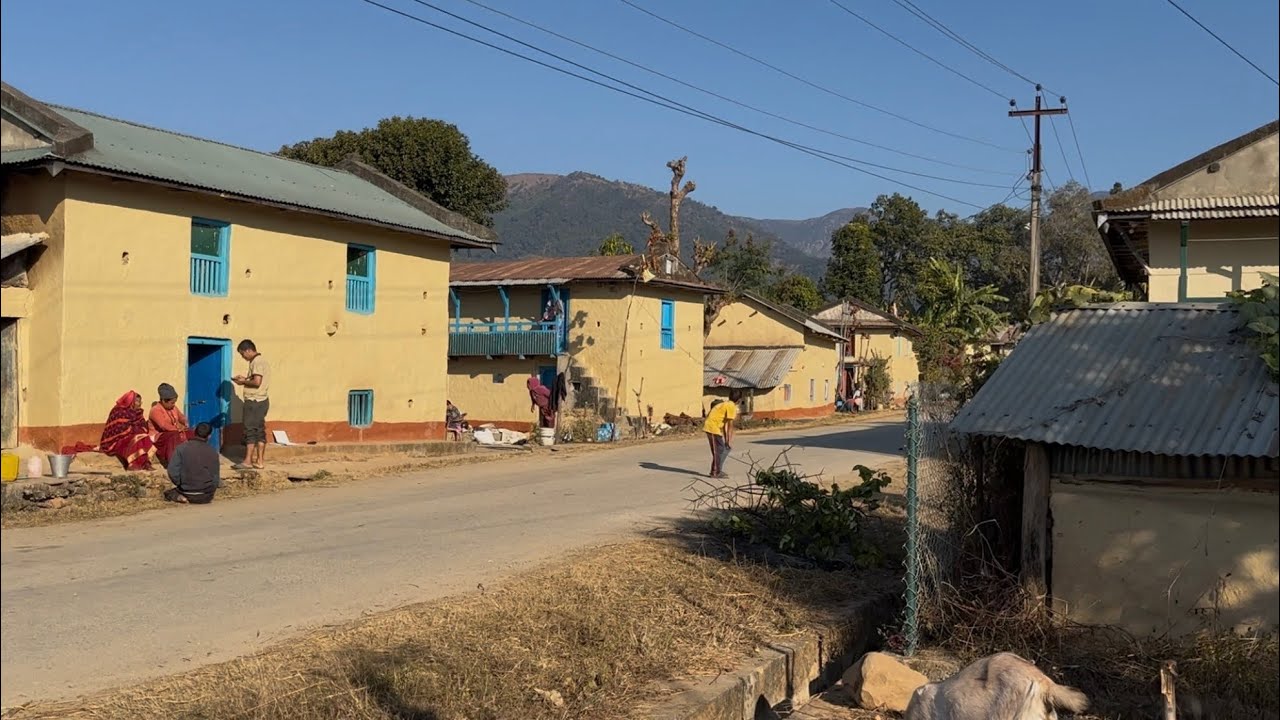 गाउँको घर, बाटो र बाख्रा | Village Daily Vlog मेरो गाउँको दैनिकी 🐐 #VillageLife#VillageVlogNepal