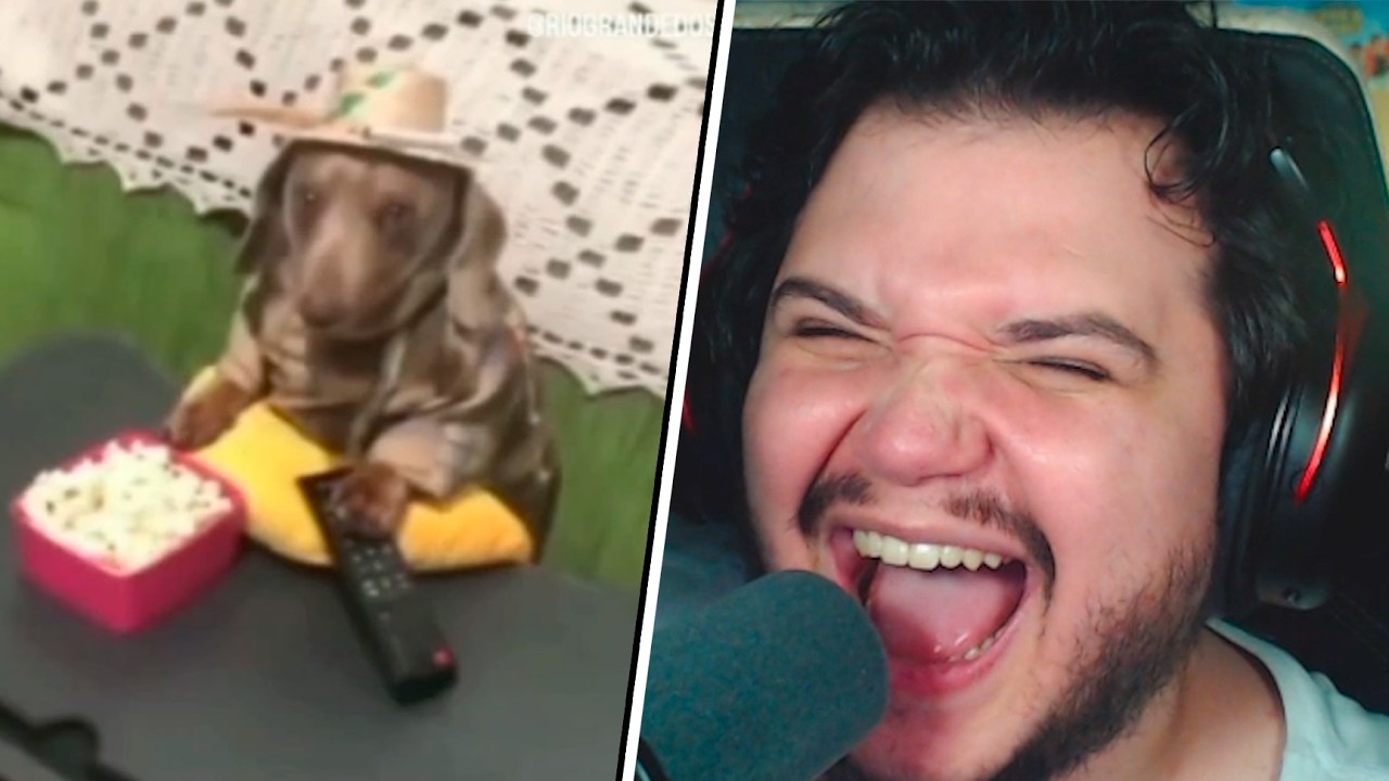 Noitinha de filmes com o Cícero - Memes do discord