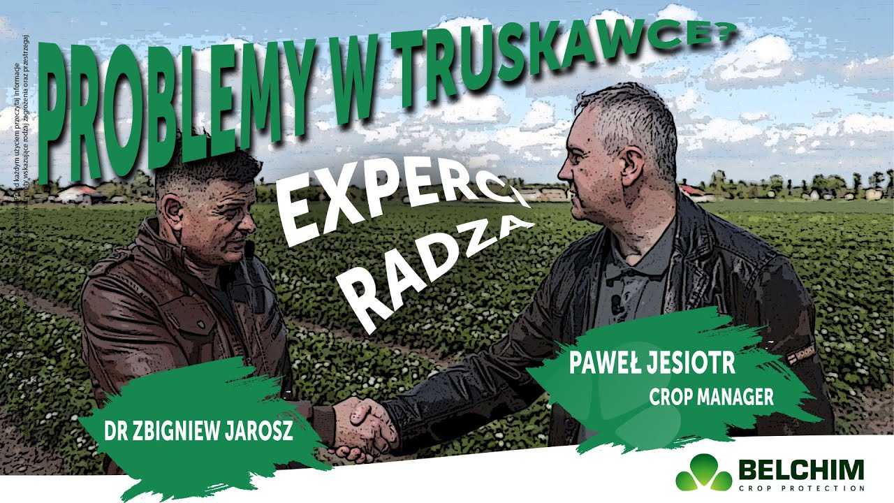 Problemy w truskawce? Sprawdź jak je rozwiązać.