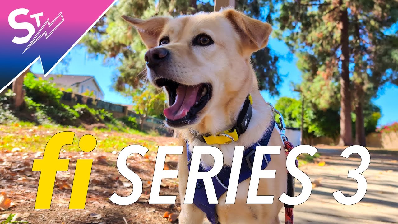Fi Series 3 Smart Collar Review: Track Your Dog Like Never Before
