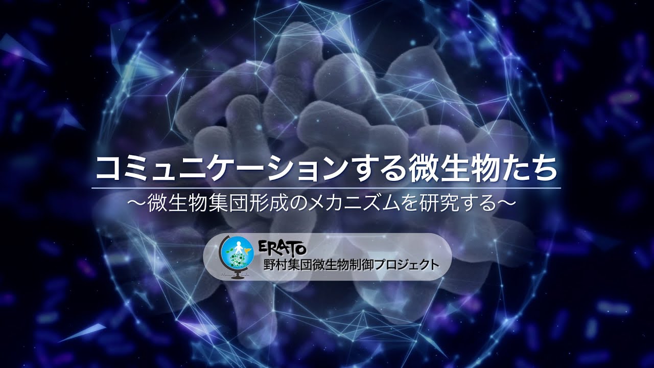 野村ERATOプロジェクト研究　総括編