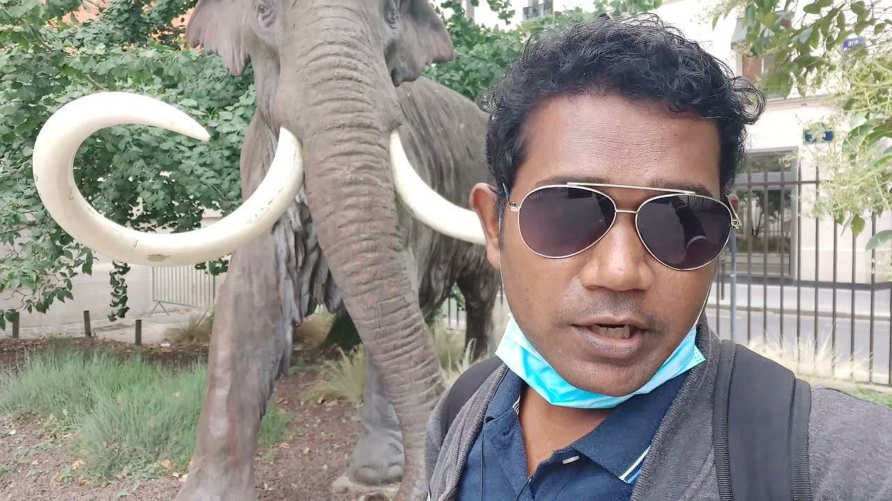 walking Tour paris museum |  Muséum national d'Histoire naturelle