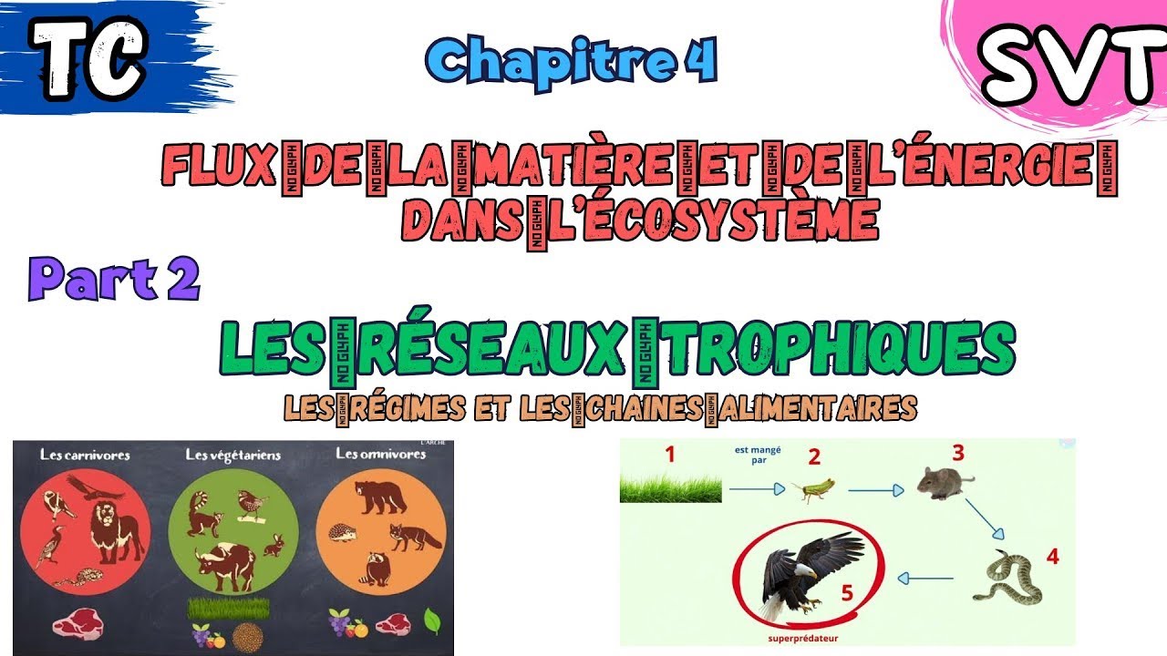 Chapitre 4: le flux de la matiere et de l'énergie dans l'ecosystème| part 2:  Les réseaux trophiques
