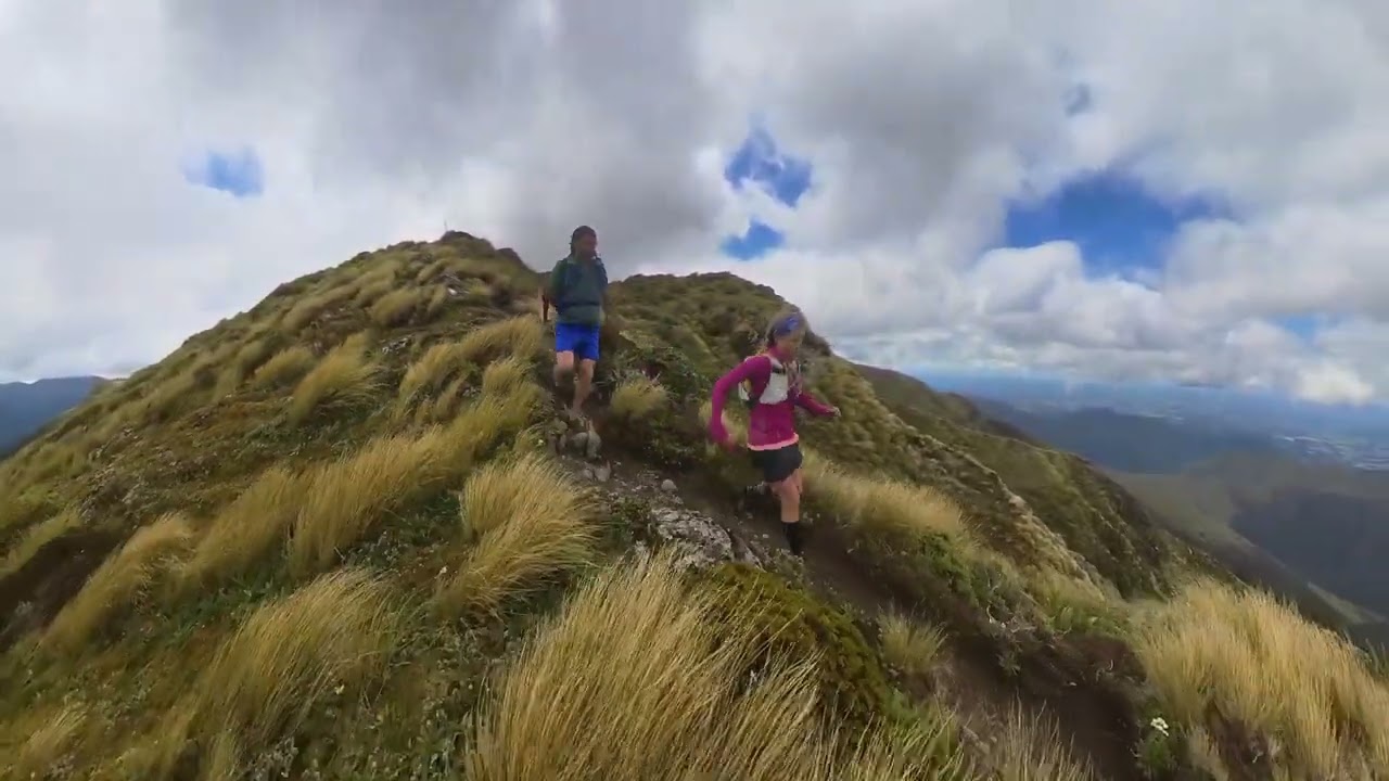 Jumbo-Holdsworth loop. Tararua forest park