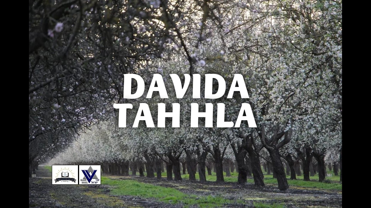Rav Oriel Shlomi - Samuel 2 הרב אוריאל שלומי - שמואל ב