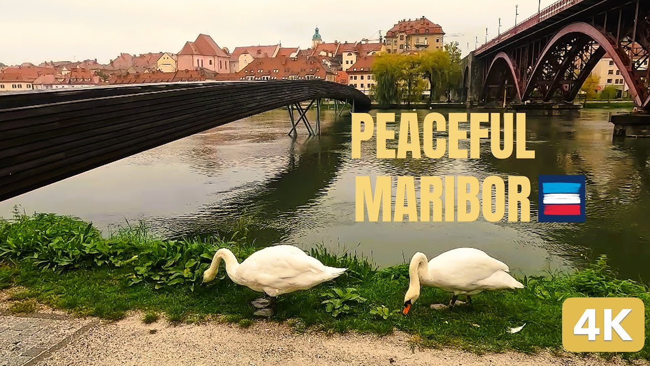 Maribor, Slovenia Walking Tour [4K] | Old Town, Drava River, City Center & Walk