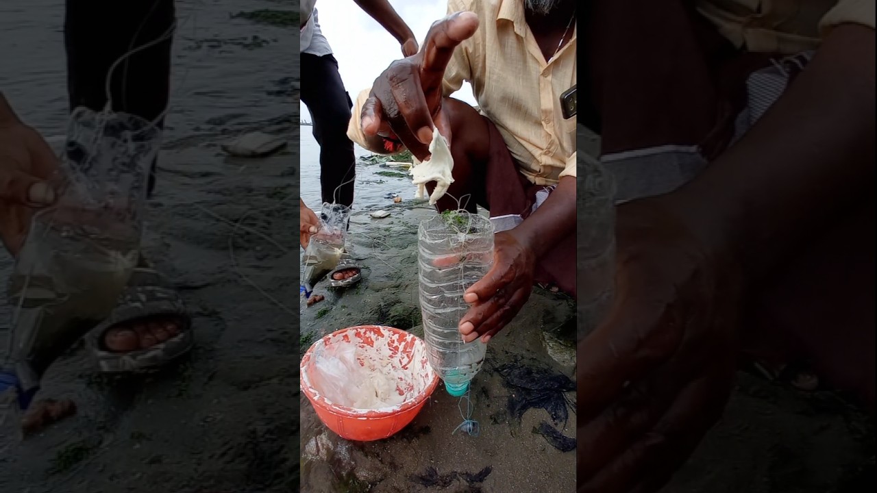Unbelievable 4 Fishes Catch in Water Bottle.  #fishing #fishingvideos #thoondilulagam #seafishing