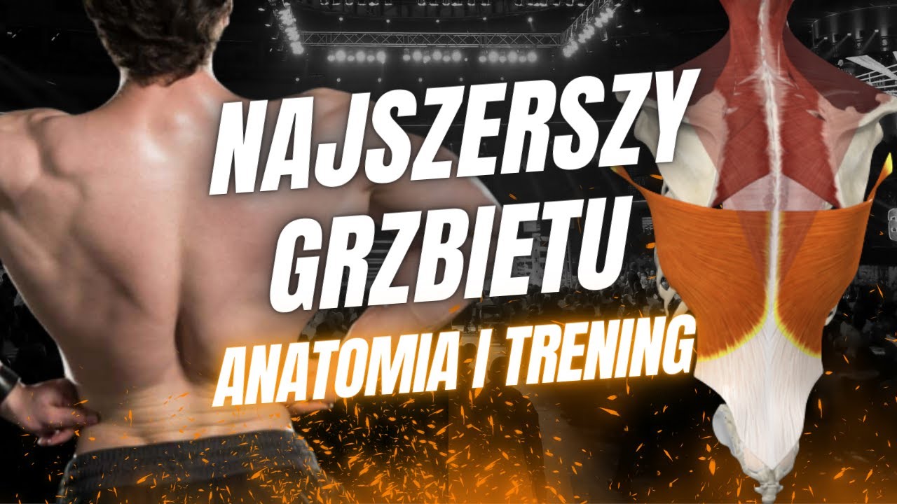 Plecy Jak Lotnisko! | Anatomia 03 - Najszerszy Grzbietu
