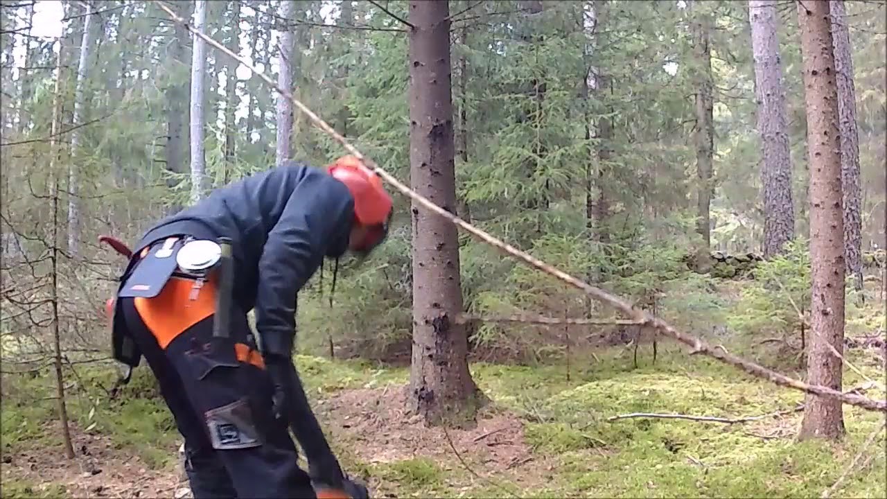 Det h&auml;r va en bra dag att hugga i skogen