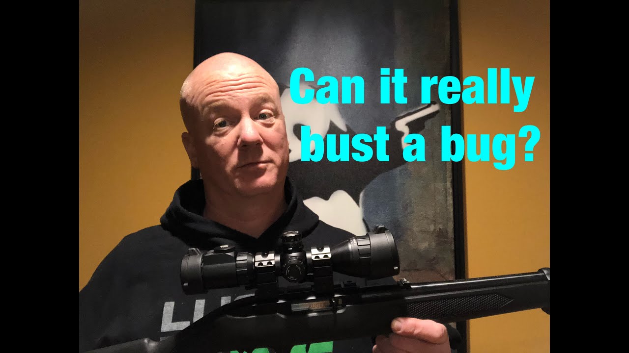 BugBuster 3x9x32mm on top of the Ruger 10/22