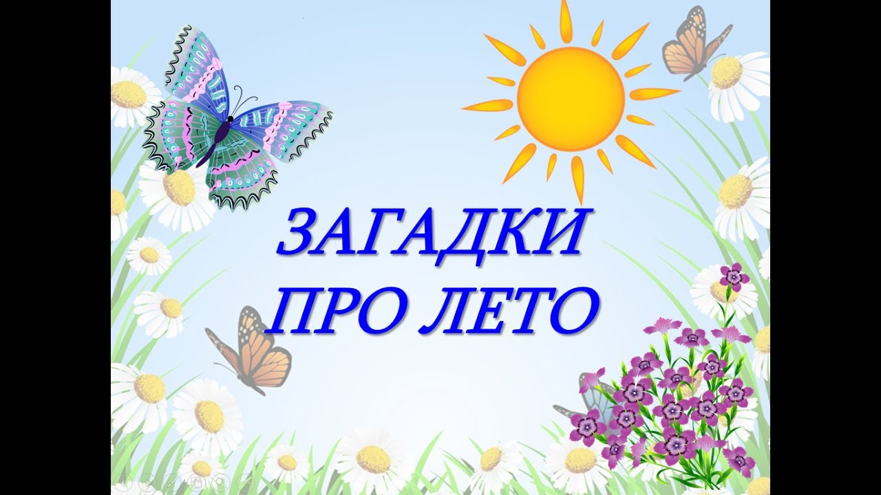 Загадки про лето для детей. Детям про лето. Загадки с ответами
