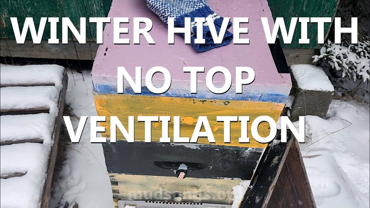 Condensing Hive Configuration (Feb 01, 2025)