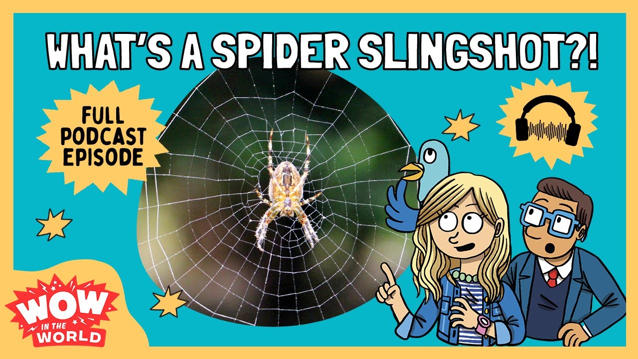 What is a Spider Slingshot?! | Wow in the World | Podcast for Kids | Full Episode