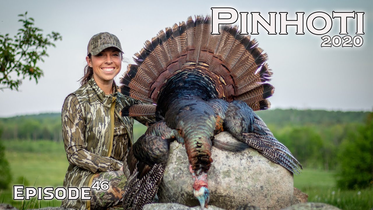 BEAUTIFUL HARDWOODS GOBBLER | HARD GOBBLING TURKEYS at the SEASONS END | JUNE HUNTING- Pinhoti 2020
