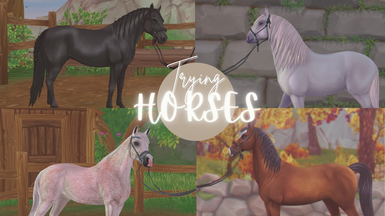 Trying & Buying Horses! || SSO RRP