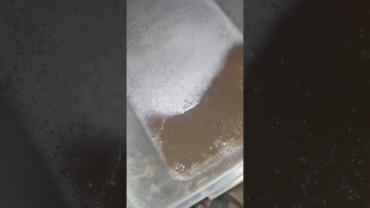 تطهير التربة والخطوة الأهم غسلها بالفري لكشف لمعة الذهب