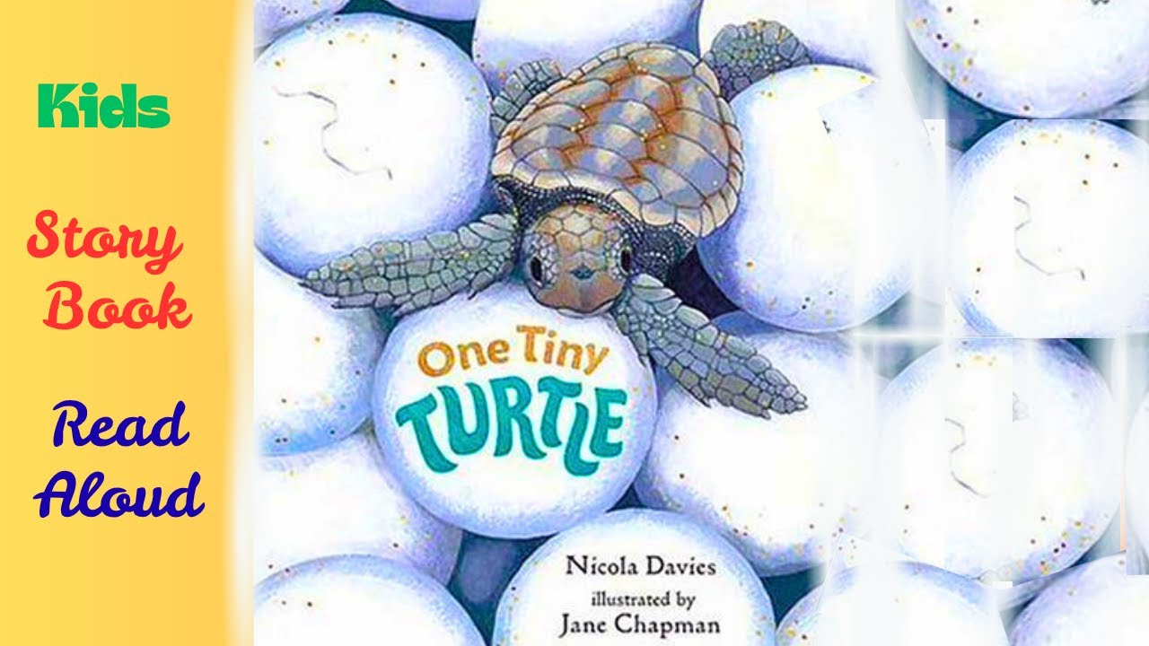 One Tiny Turtle (journey of a tiny loggerhead turtle) #kidsbooks #reading #education #turtle #story