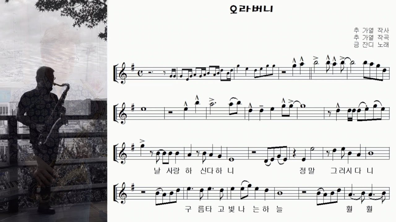 금잔디 