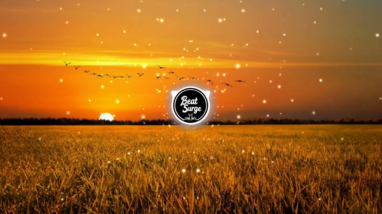 Beat Surge - SUMMER