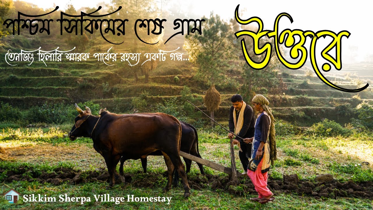 উত্তারে -সিকিমের সবুজ প্রকৃতির কোলে লুকানো এক স্বর্গ |Sikkim Sherpa Village Homestay| Throttle Reels