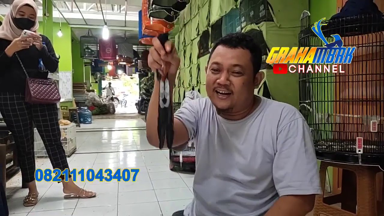 SATU KELUARGA BELI BURUNG DI MBRK. GAK KIRA-KIRA SEKALI BELI BURUNG BANYAK !!